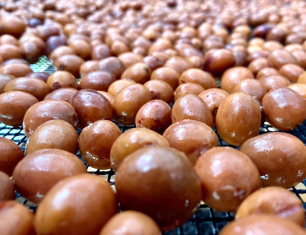 Red Bourbon CM Natural